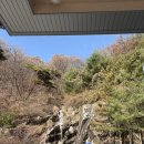 귀문로 | 강원도원주 골프장 센추리21CC 마운틴코스 2부라운드(11월방문)