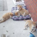 오후의휴식 이미지