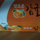 보배농장 | 제주귤 맛있는 보배농장과일 귤5KG 후기