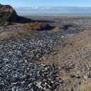 광경목장 이미지