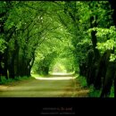 POP자격증 이미지