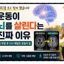 운동을 멀리하면 뇌는 정말 쪼그라들까? MRI가 보여준 놀라운 사실