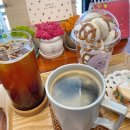 동편마을 마카롱 &amp; 머랭쿠키 [ 상상카롱 ]