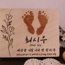 디엠지아트토이 이미지