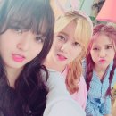 AOA 크림 카카오 검색결과