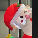 일상이야기 _ 연말에도 샘솟는 물욕
