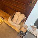 대구 아기 백일 사진 &#34;위드어스 스튜디오&#34; 내돈내산 후기