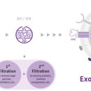 에스테틱바이오주식회사 이미지