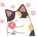 하나모토스 이미지