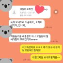 취업해봄 | 이원의료재단 임상병리사 자소서 첨삭 후기(헬요일 힘내세요💪)