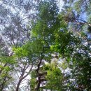 금광호수 | [blog40]안성가볼만한곳, 한적한 주말에 박두진문학길(금광호수둘레길)방문후기