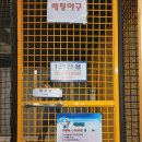 왕게임장 이미지