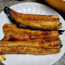 멜로테일 이미지