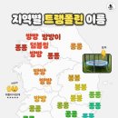 성인용 방방 후기 이미지