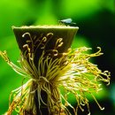 양산호수공원 이미지