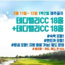 테디투어 이미지