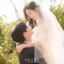 플라웍스 이미지