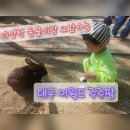 쭌농장 | 대구 아이와 갈만한 곳 이월드 동물농장 주주팜