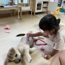 다온루리