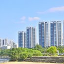 조선미디어플러스