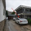 덕진-70 이미지