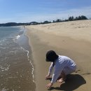 하조대 대구막창