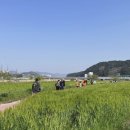 마이리틀메이트 이미지