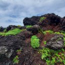 바다전망대 이미지