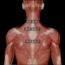 아주대PT 아이디얼짐 이미지