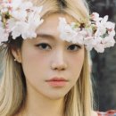 구일몰 이미지