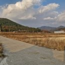 삼산면-3 이미지