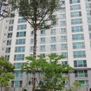 신당인덕3로-9 이미지