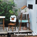 마당목장 이미지