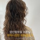 여기.미장원 | 양산중부동 미용실 하하미장원 히피펌 만족후기