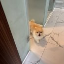 뿌꾸맘네