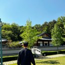 우비정 | 경남 합천 여행 합천영상테마파크 한옥카페 우비정