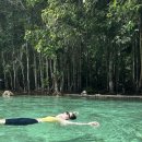 핫스토리 | [끄라비 여행/투어] 에메랄드풀 &amp; 핫스프링 투어 후기🥭 (with 끄라비스토리)