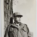 축령산아침 이미지