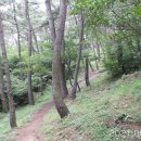 진정산공원 네이버블로그