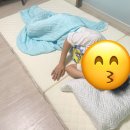 바닥 요매트 제대로 정착한 썰 (필독)