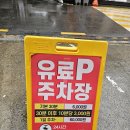 목동 어시장 | 오목교역 횟집 속초오징어어시장 목동점 점심 회덮밥 알밥