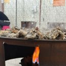 장흥대박협동조합 | 장흥 맛집 사계절 굴구이 드럼통 굴반판 굴 야채전 사장님 센스에 감동한 노포 후기