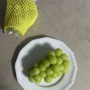 푸르름 | [과일 강추] 추석 선물 좋을듯한 신선과일 ‘ 푸르름 샤인머스켓 ’ 솔직후기 💚