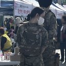 북부천 | 여하튼 꽃눈 내리는 북부천의 신입생
