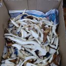 송이민박 이미지