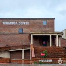 솔향수목원(솔숲광장) | [강원도 강릉시] 강릉 솔향수목원