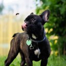 24시 산들산들 동물병원 이미지