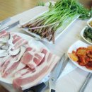 한들식육