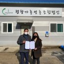 평창토종강냉이 이미지
