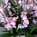 광용농장 이미지